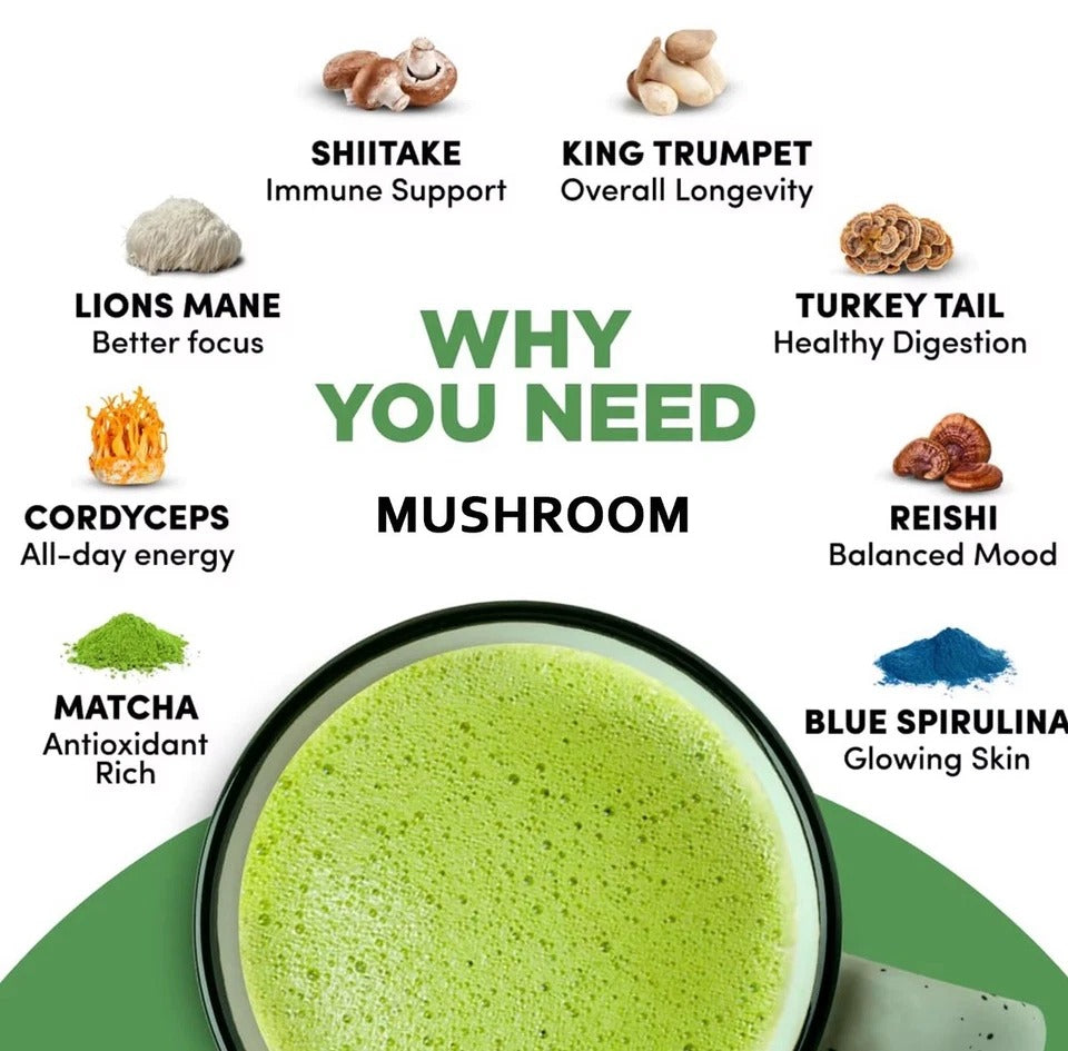 Mushroom Coffee + Matcha + Cacao Superfood Bundle | 7-in-1 ENERGY/FOCUS/GUT SUPP
