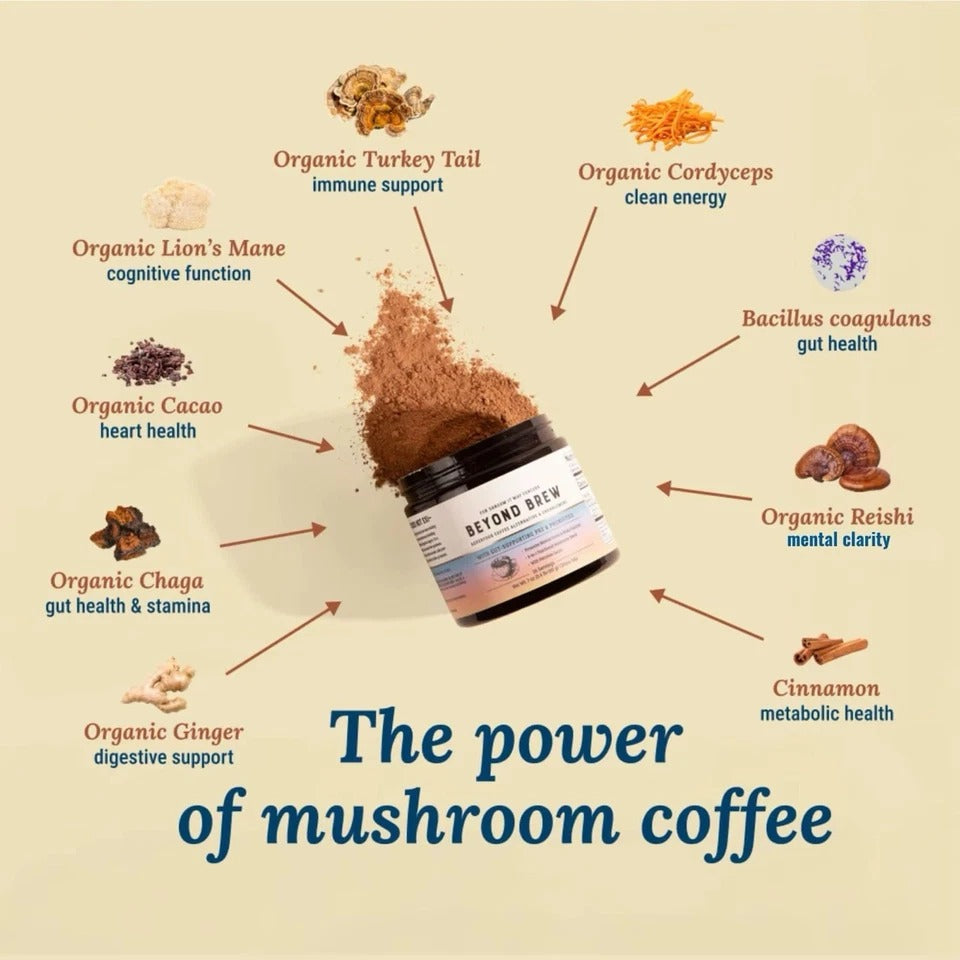 Mushroom Coffee + Matcha + Cacao Superfood Bundle | 7-in-1 ENERGY/FOCUS/GUT SUPP