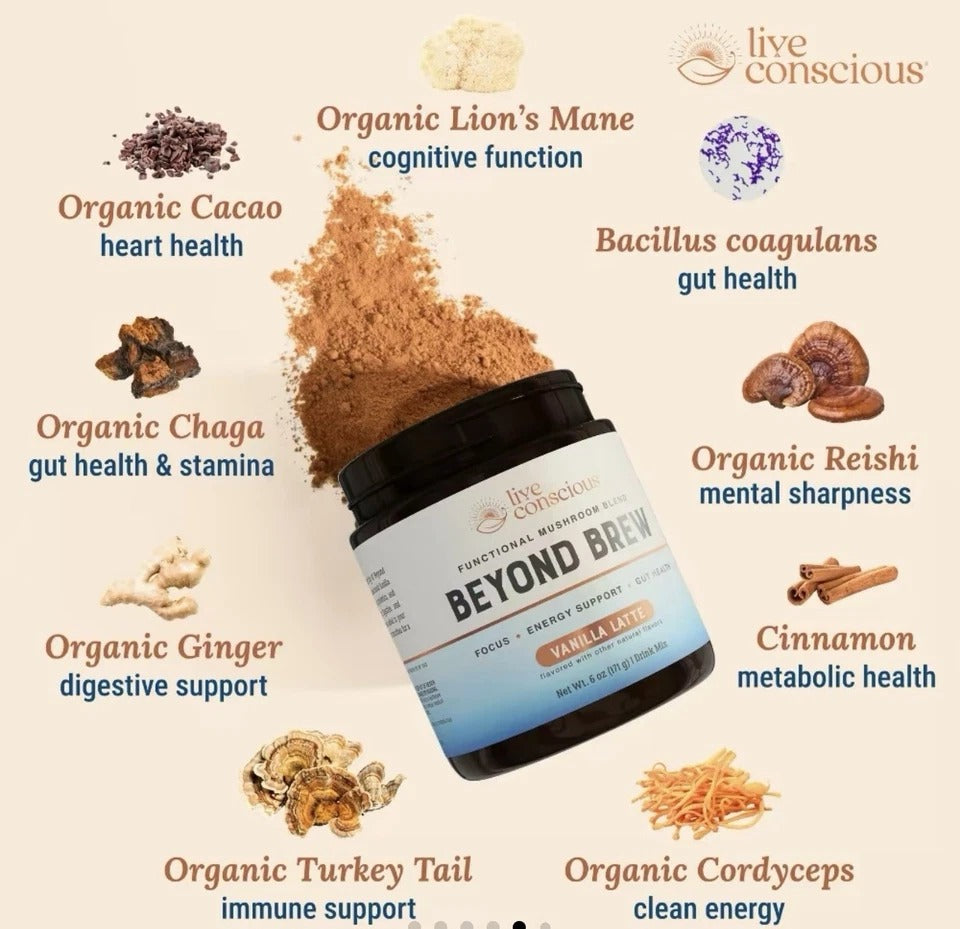 Mushroom Coffee + Matcha + Cacao Superfood Bundle | 7-in-1 ENERGY/FOCUS/GUT SUPP